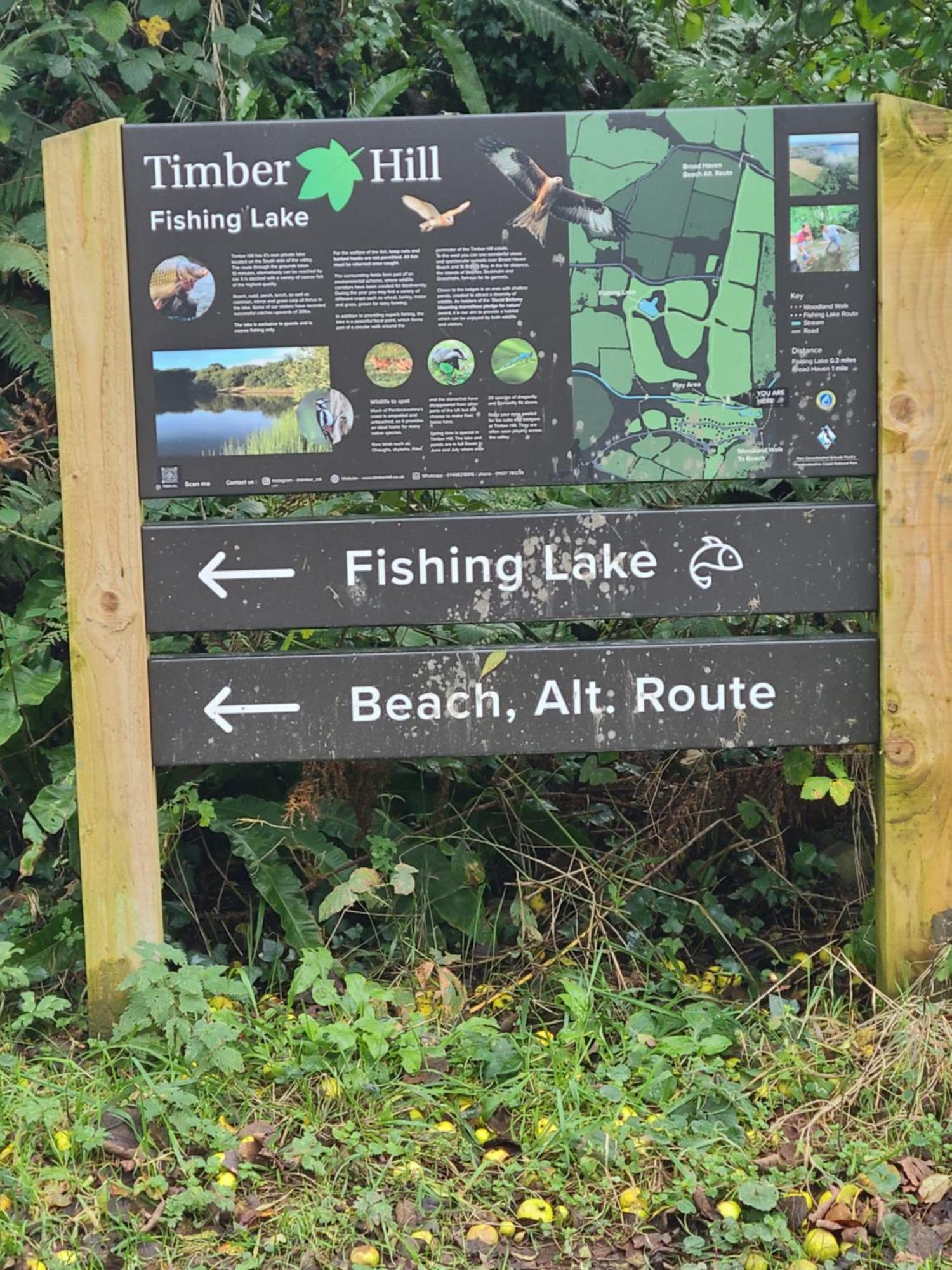 Holiday home 9 Timber Hill Broad Haven